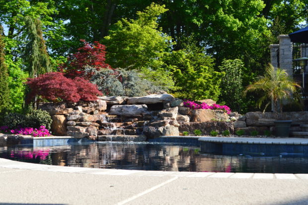 Project by Chesterfield Valley Nursery